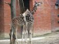 Z výletu do Liberecké ZOO