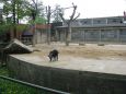 Z výletu do Liberecké ZOO